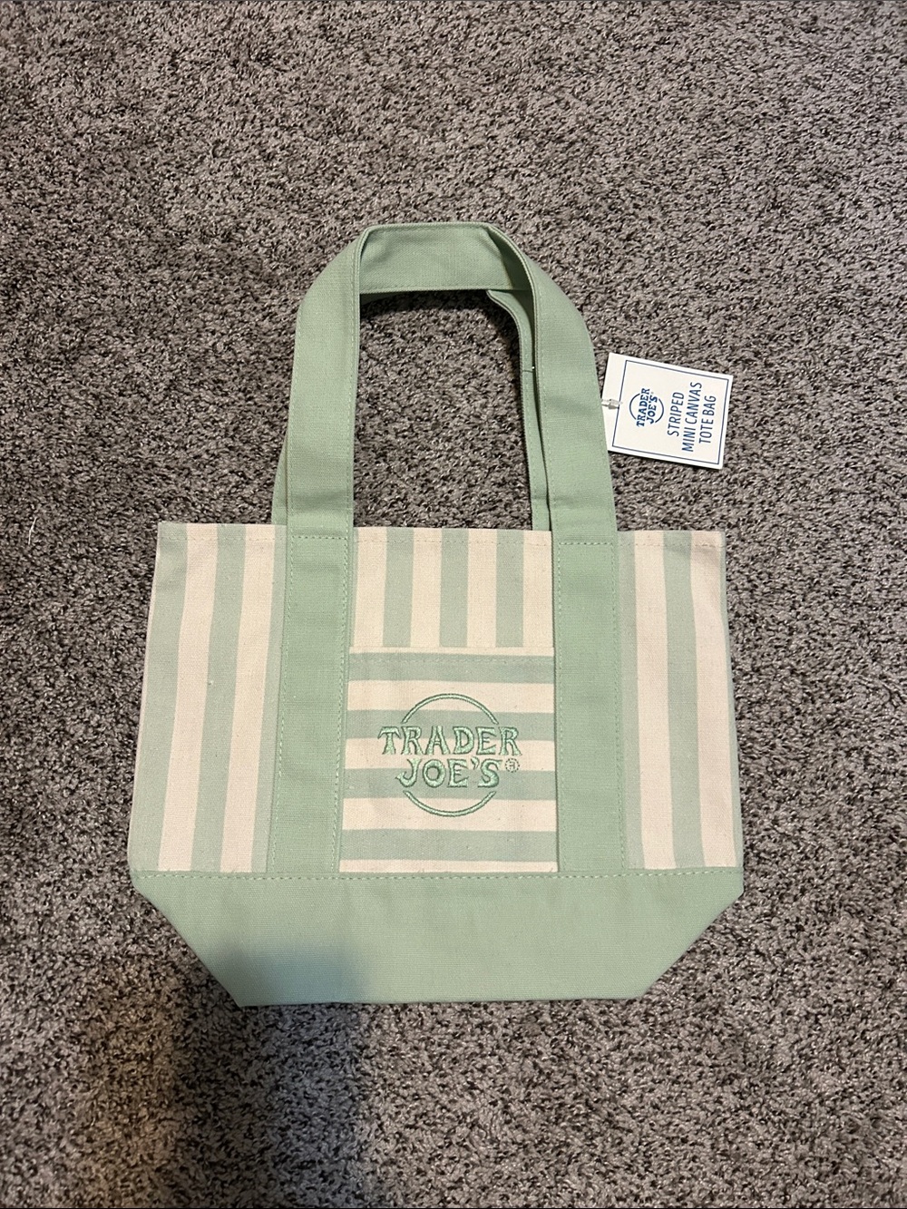 Striped Mint Green Mini Canvas Tote Bag